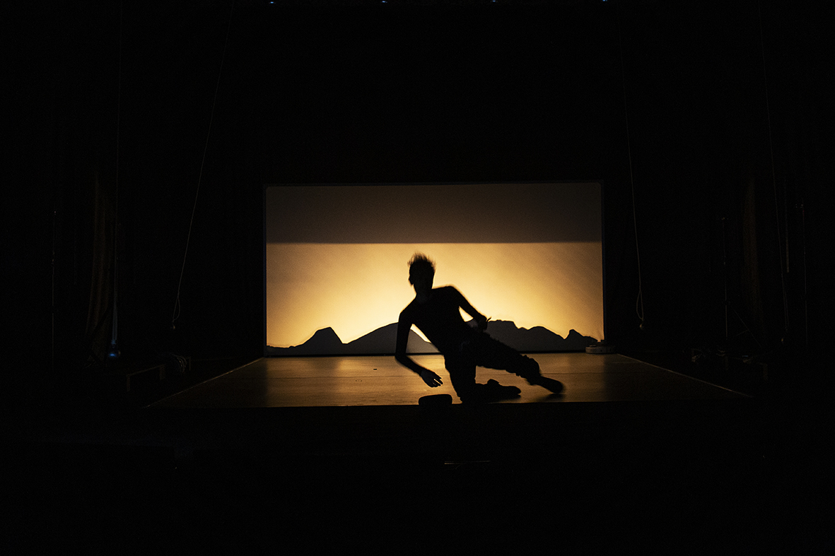 AN ORDINARY DAY IN THE LIFE OF THE DANCER GREGOR SAMSA galerie foto 3