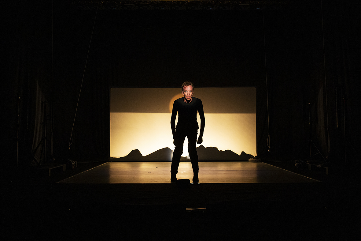 AN ORDINARY DAY IN THE LIFE OF THE DANCER GREGOR SAMSA galerie foto 4