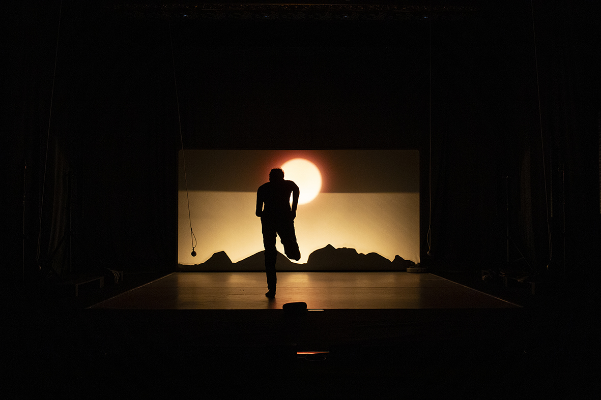 AN ORDINARY DAY IN THE LIFE OF THE DANCER GREGOR SAMSA galerie foto 7