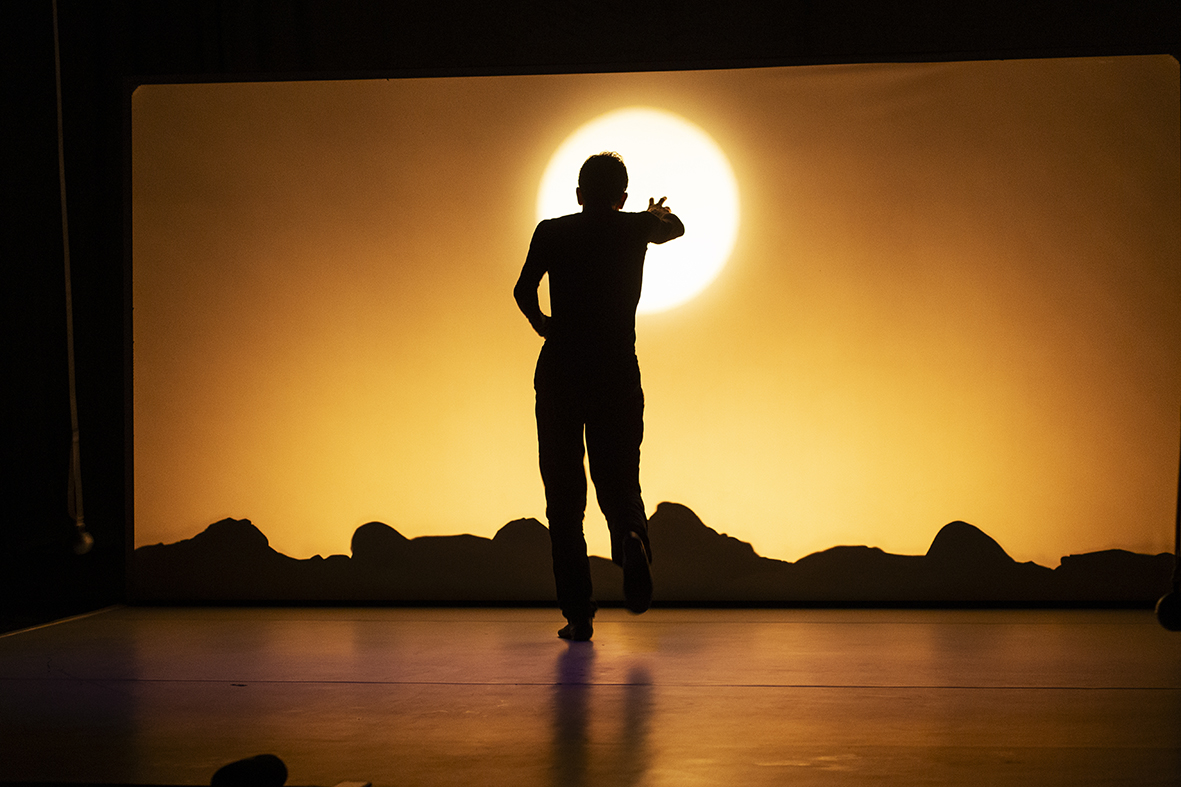 AN ORDINARY DAY IN THE LIFE OF THE DANCER GREGOR SAMSA galerie foto 13