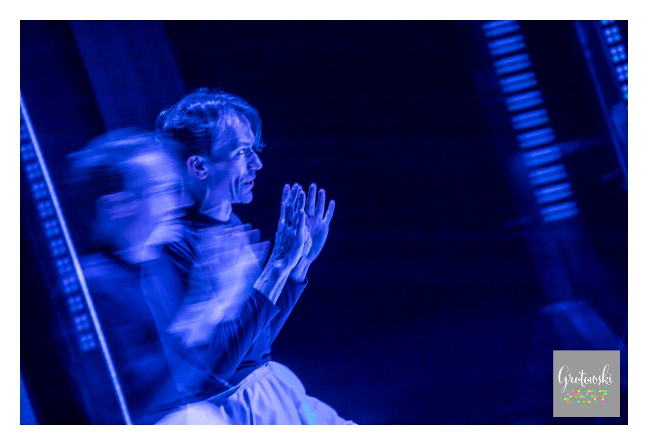 AN ORDINARY DAY IN THE LIFE OF THE DANCER GREGOR SAMSA galerie foto 18